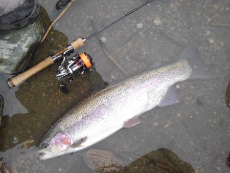 天竜川ルアーフライ専用区